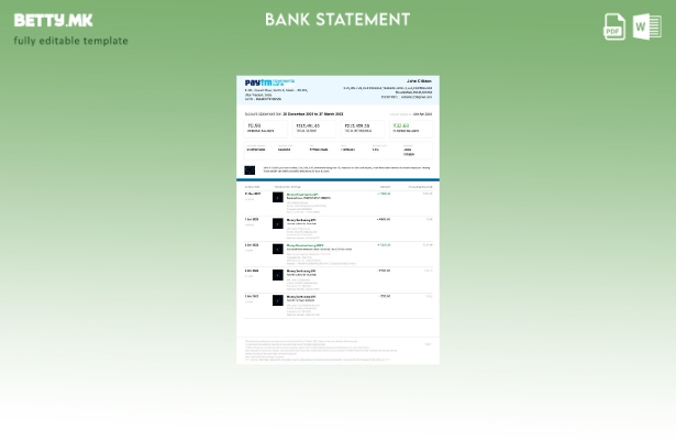 модерен стил India Paytm Payments шаблон на страница за збор од банкарски извод